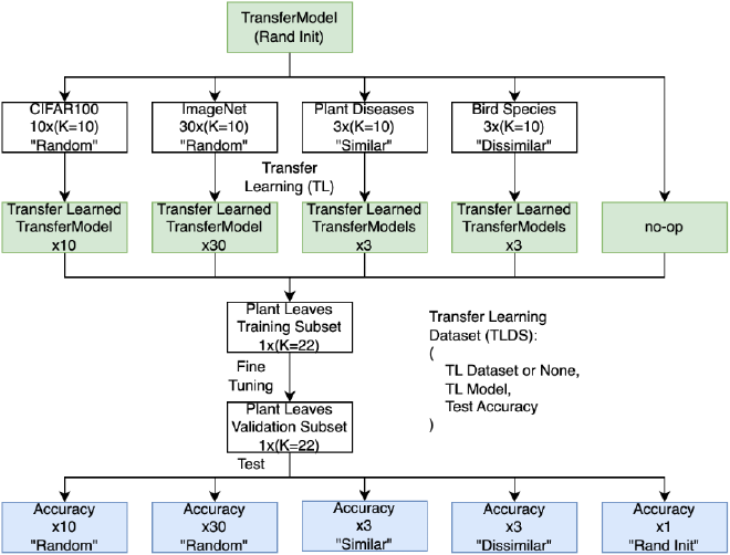 Diagram showing transfer learning dataset creation